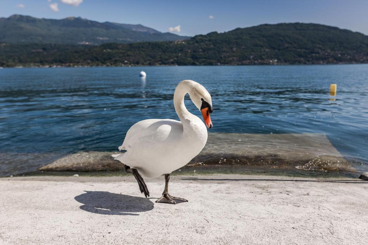 Aparthotel Maggiore Bay Baveno